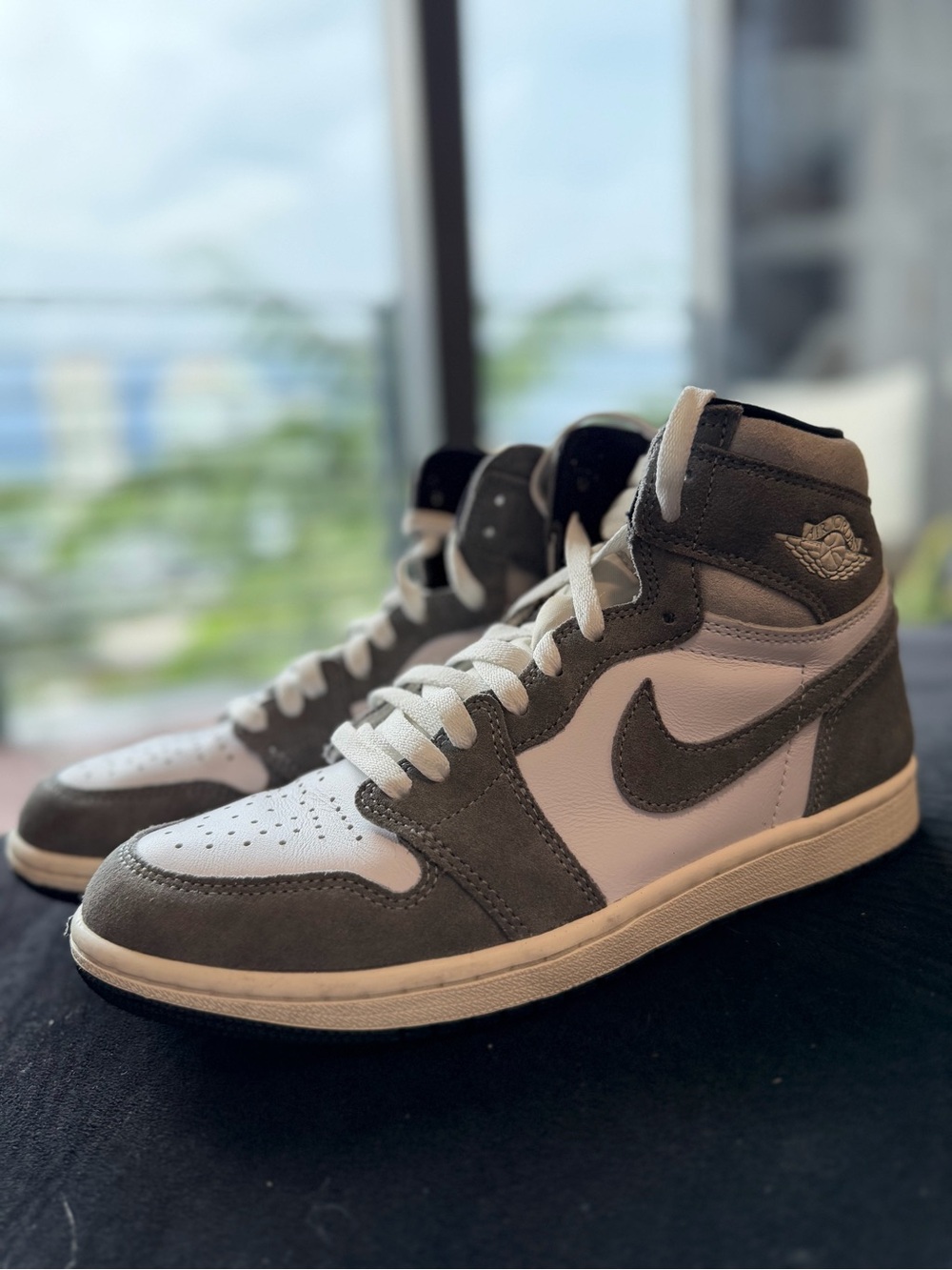 Air Jordan 1 Retro High OG "Washed Heritage" 2023